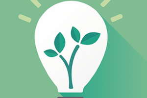 Pre-selected placeholder image