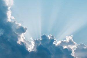 Pre-selected placeholder image