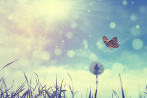 Pre-selected placeholder image