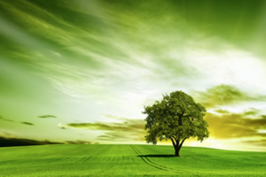 Pre-selected placeholder image